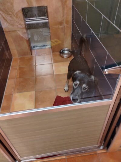 Humane Pennsylvania - Reading, PA