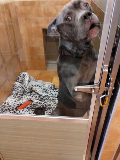 Humane Pennsylvania - Reading, PA