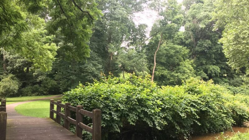 Laurelain Park ( Laurel Run and Hain) - Reading, PA