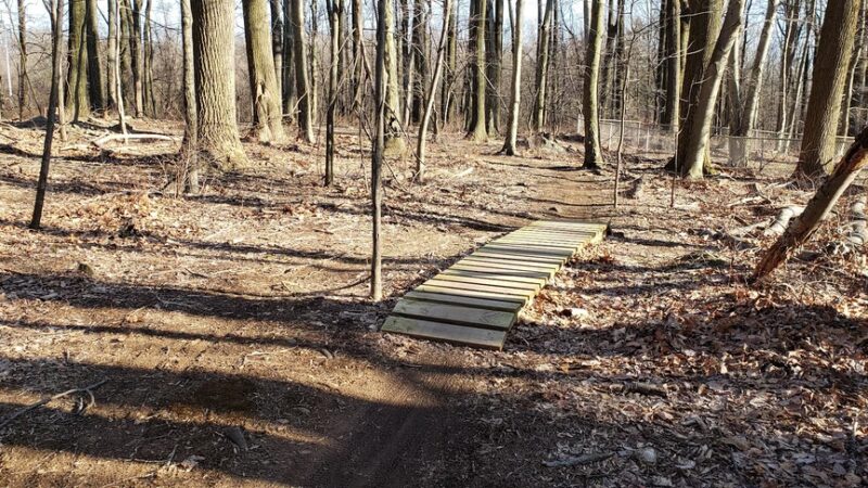 Mount Penn Preserve - Reading, PA