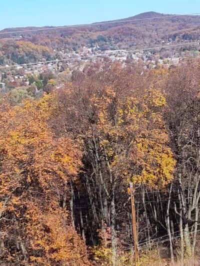 Neversink Trail - Reading, PA