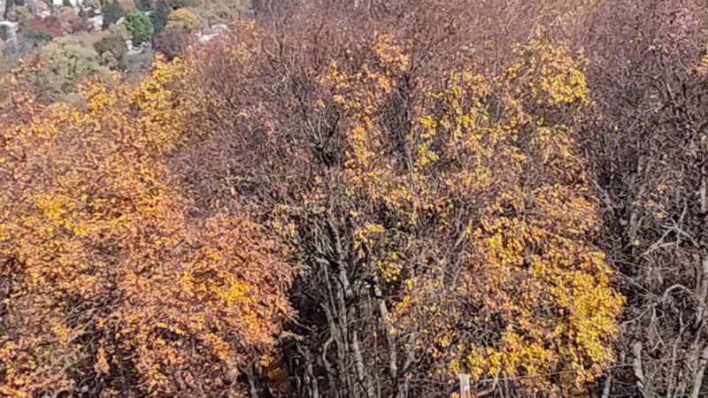 Neversink Trail - Reading, PA