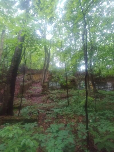 Neversink Trail - Reading, PA