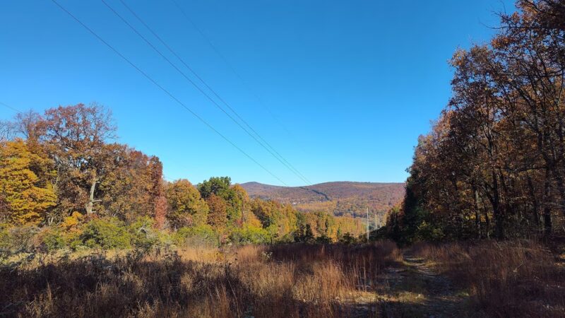 Neversink Trail - Reading, PA