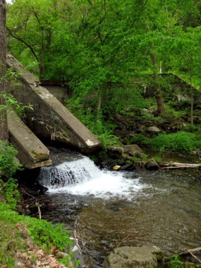 Nolde Forest - Sawmill - Reading, PA