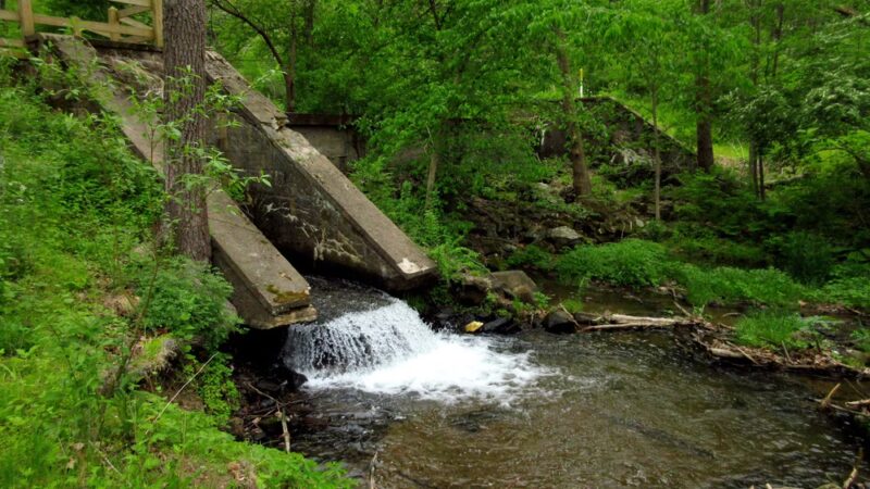 Nolde Forest - Sawmill - Reading, PA