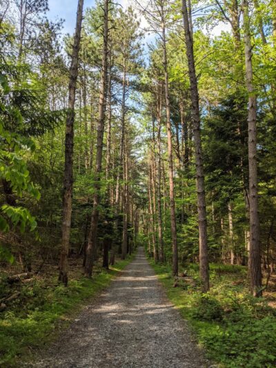 Nolde Forest - Sawmill - Reading, PA