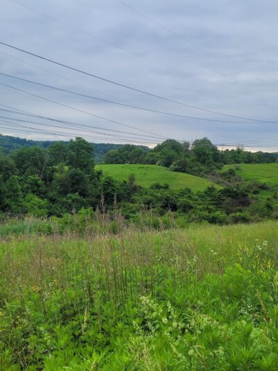 Shiloh Hills Park - Reading, PA