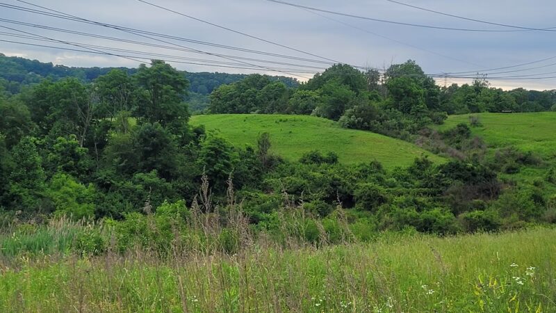 Shiloh Hills Park - Reading, PA