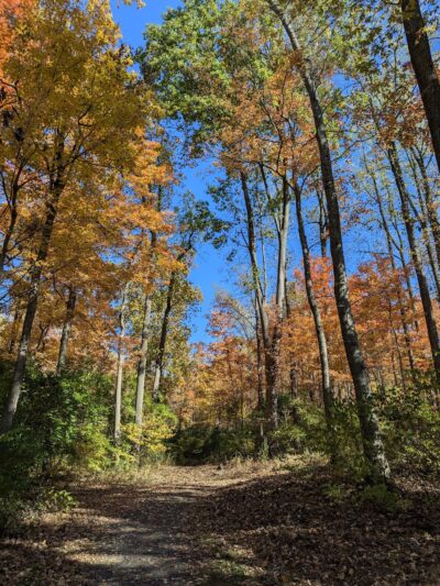 Shiloh Hills Park - Reading, PA