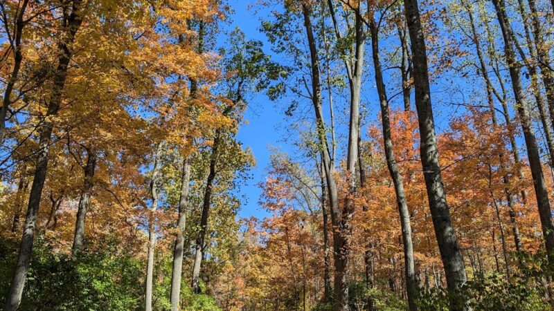 Shiloh Hills Park - Reading, PA