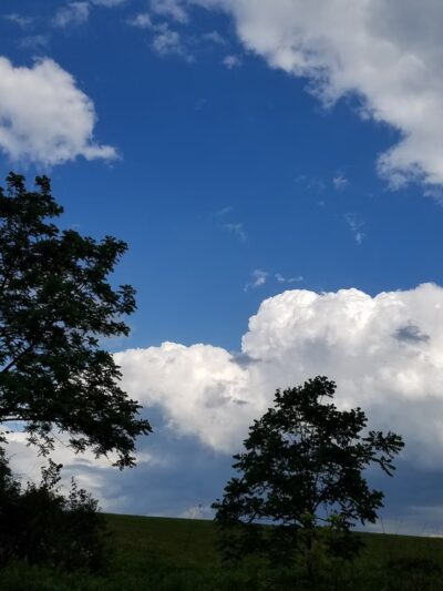 Shiloh Hills Park - Reading, PA