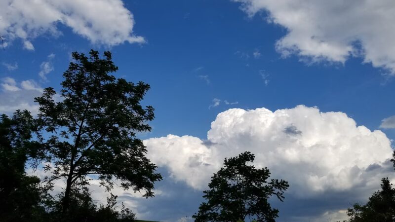 Shiloh Hills Park - Reading, PA