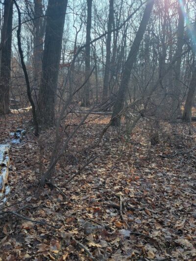 The Oaks Trail - Reading, PA