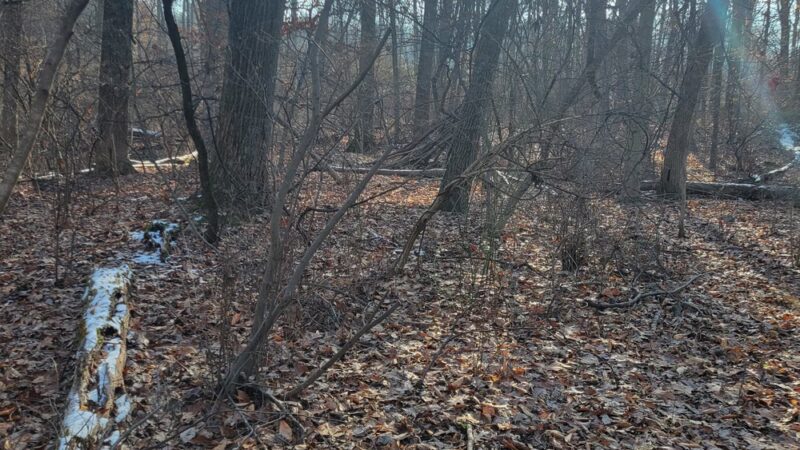 The Oaks Trail - Reading, PA