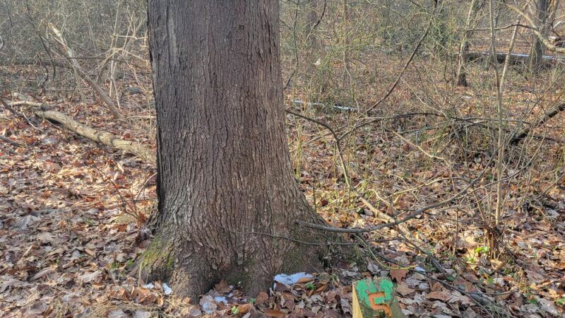 The Oaks Trail - Reading, PA