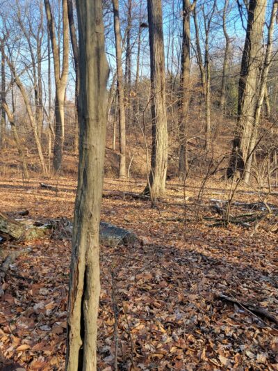 The Oaks Trail - Reading, PA