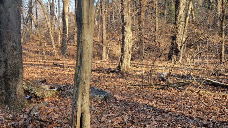 The Oaks Trail - Reading, PA
