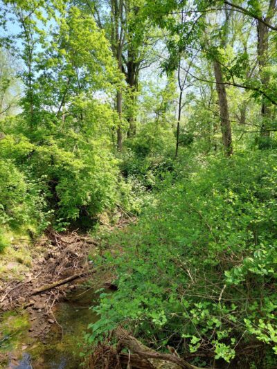 Trout Run Park - Reading, PA