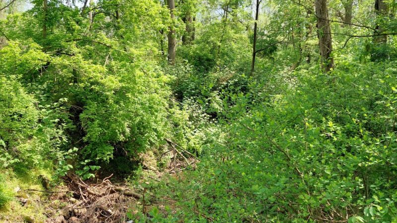 Trout Run Park - Reading, PA