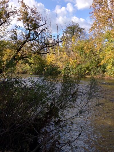 Tulpehocken Creek Valley Park - Reading, PA