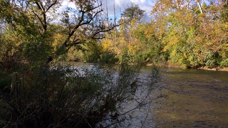 Tulpehocken Creek Valley Park - Reading, PA