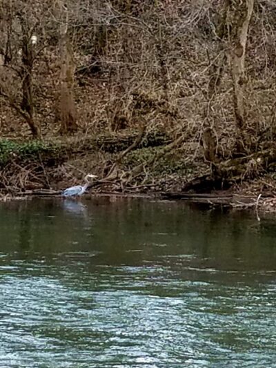 Tulpehocken Creek Valley Park - Reading, PA