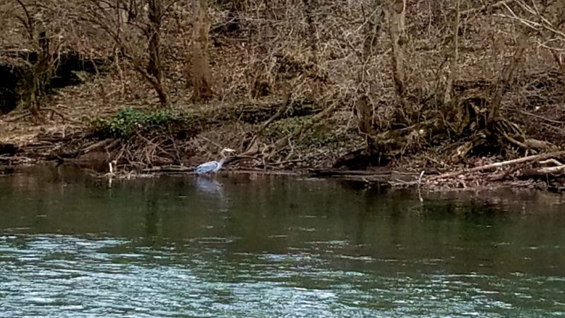 Tulpehocken Creek Valley Park - Reading, PA