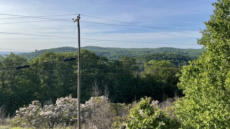 Witches Hat - Reading, PA