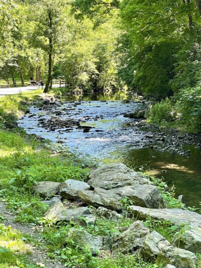 Wyomissing Park System Pinewoods Trail - Reading, PA