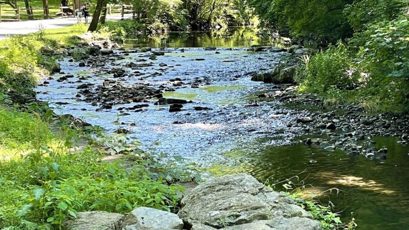 Wyomissing Park System Pinewoods Trail - Reading, PA