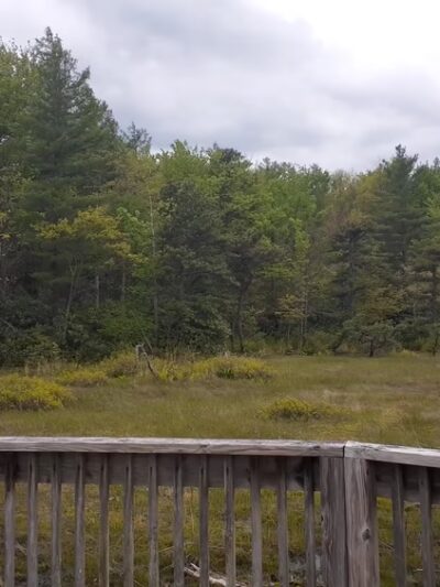 Forbes State Forest - Spruce Flats Bog and Wildlife Area - Rector, PA