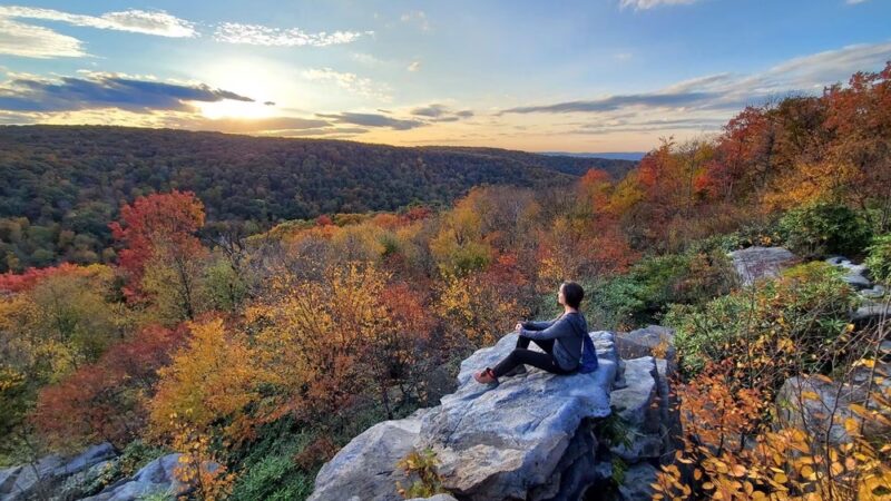 Wolf Rocks Trailhead - Rector, PA