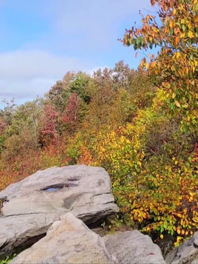 Wolf Rocks Trailhead - Rector, PA