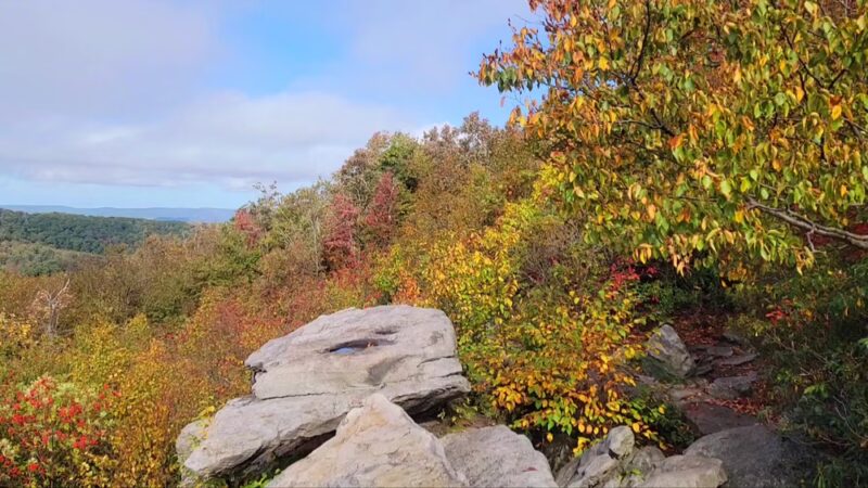 Wolf Rocks Trailhead - Rector, PA
