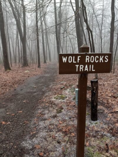 Wolf Rocks Trailhead - Rector, PA