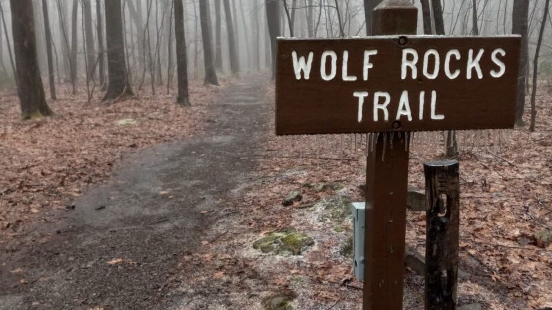 Wolf Rocks Trailhead - Rector, PA