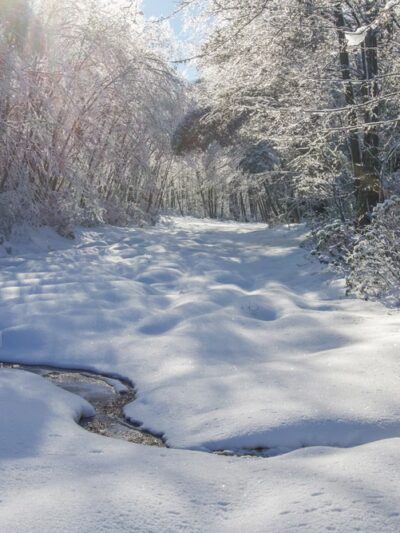 Wolf Rocks Trailhead - Rector, PA