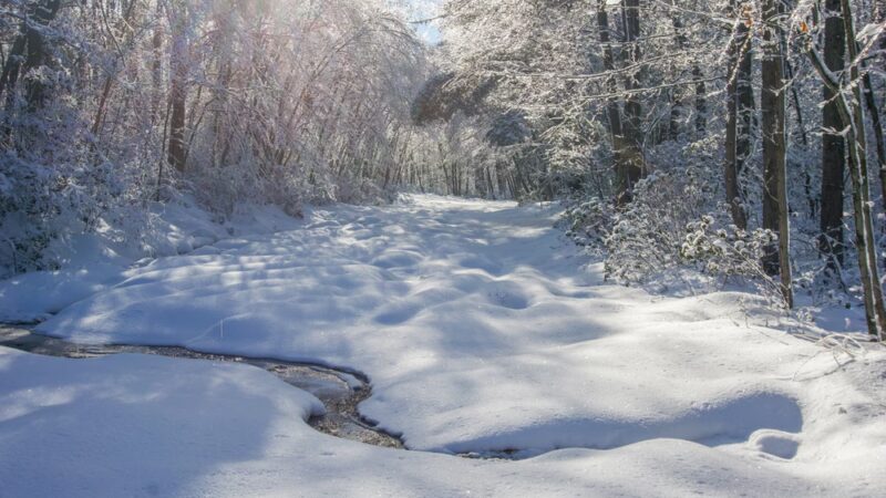 Wolf Rocks Trailhead - Rector, PA