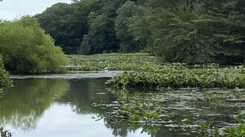 Stevenson park - Red Bank, NJ