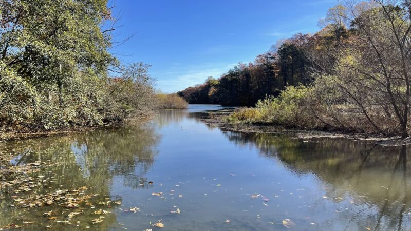 Stevenson park - Red Bank, NJ
