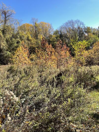 Stevenson park - Red Bank, NJ
