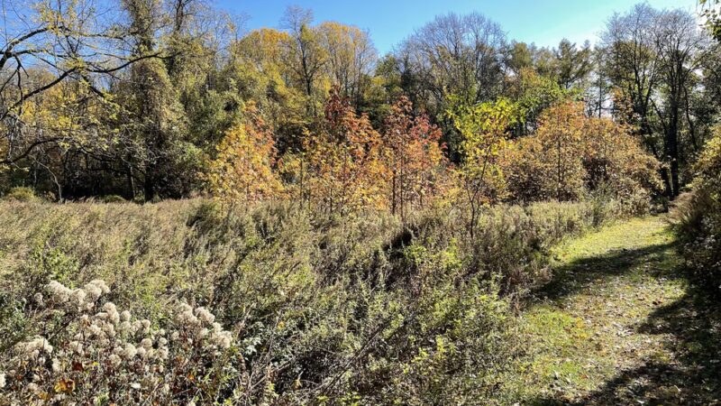 Stevenson park - Red Bank, NJ