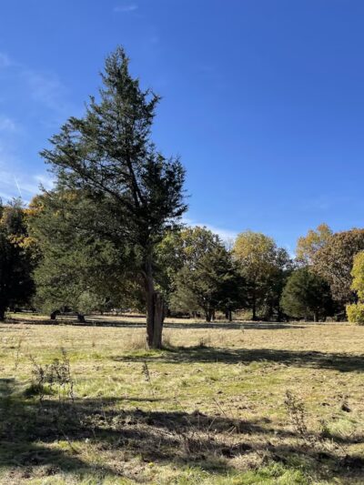 Stevenson park - Red Bank, NJ