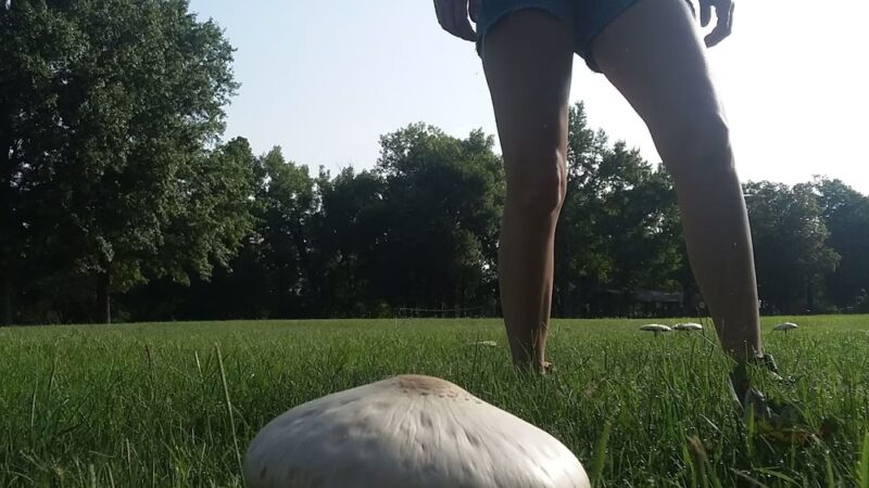 Ratz Memorial City Park - Red Bud, IL
