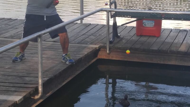 Red Bud Sports Complex - Red Bud, IL