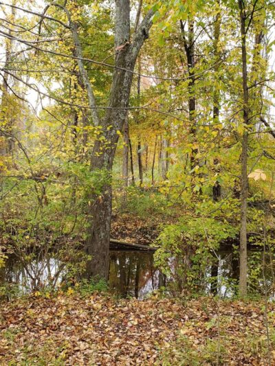 Red Hook Recreation Park Inc - Red Hook, NY