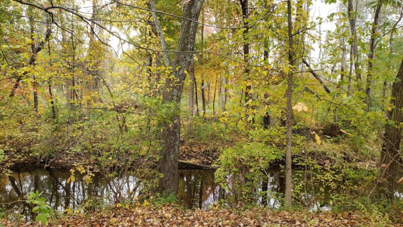 Red Hook Recreation Park Inc - Red Hook, NY
