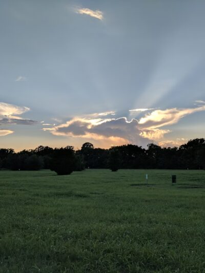 Cherry Creek Nature Preserve - Red Oak, TX