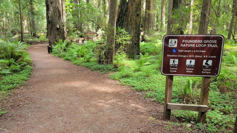 Founders Grove Nature Loop Trail - Redcrest, CA
